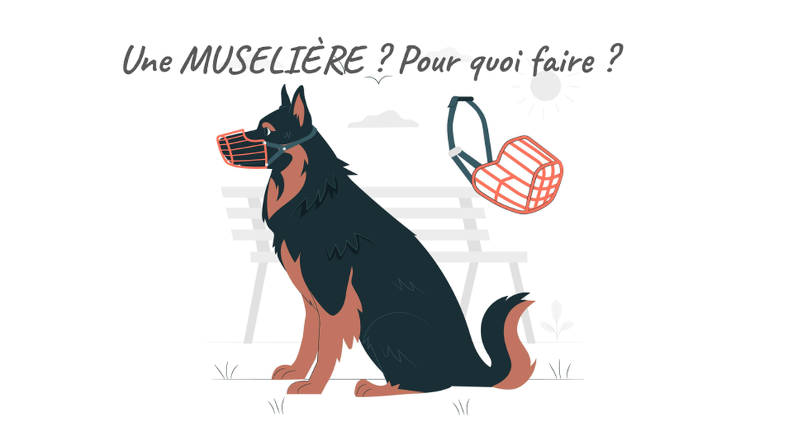 La muselière : pour quoi faire ?