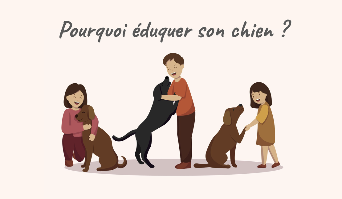 Pourquoi éduquer son chien ?